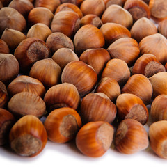 heap of hazelnuts
