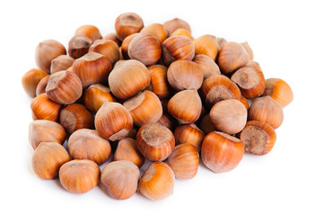heap of hazelnuts