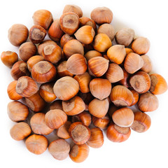 heap of hazelnuts