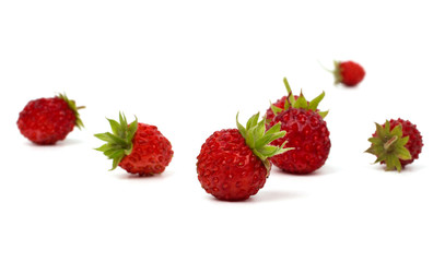 Forest strawberry isolated on white