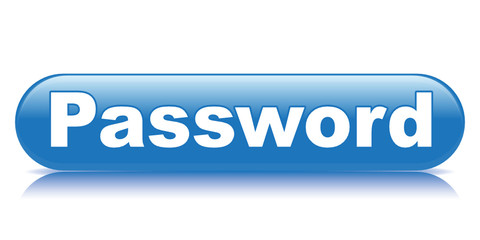 PASSWORD ICON