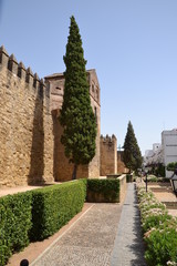 Fototapeta na wymiar Muralla de Córdoba