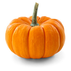 pumpkin over white background