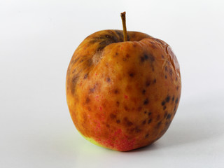 apple spoiled on white background