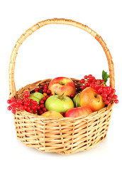 crop of berries and fruits in a basket isolated on white