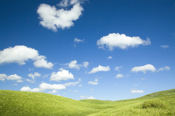 青空と草原の丘