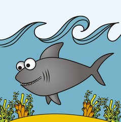 illustration of shark