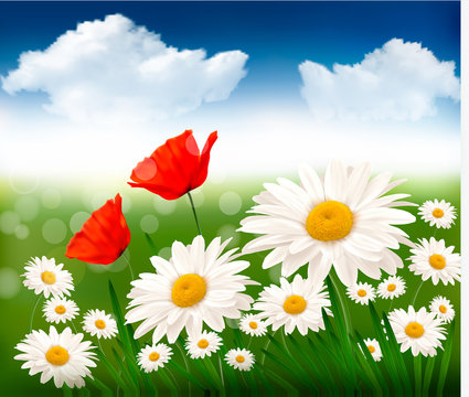Nature background with beautiful flowers and sky.
