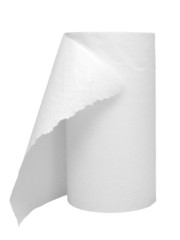 towel paper roll