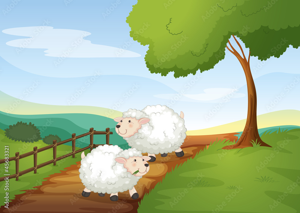 Wall mural sheeps