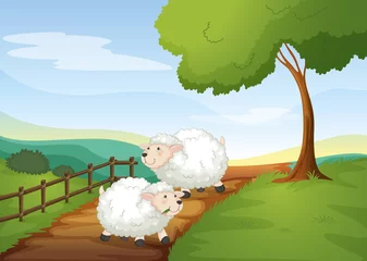 Store enrouleur tamisant sans perçage Ferme des moutons