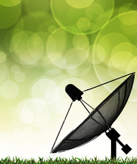 Green grass and leave background with selective focus