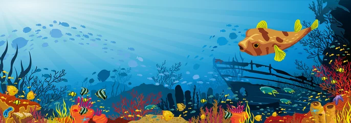 Cercles muraux Sous-marin Récif de corail avec poisson, puffer et silhouette de navire coulé
