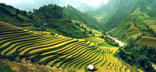 Crédence en verre imprimé Mu Cang Chai Rizières en terrasses au Vietnam