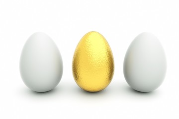 eggs