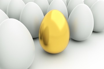 eggs