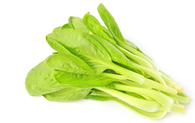 Bok choy