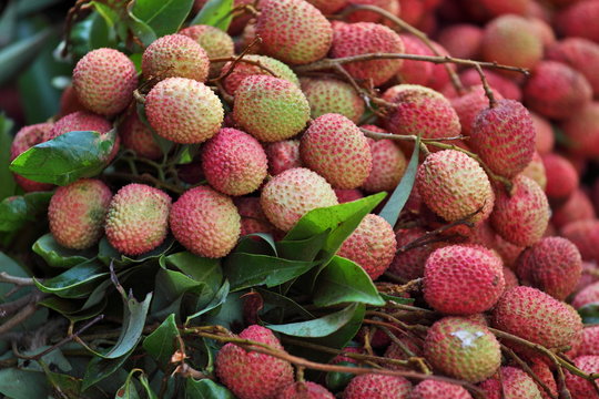 Lychee fruits