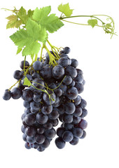 grappe de raisin