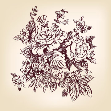 roses hand drawn vector llustration realistic sketch