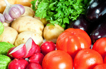 Fresh summer vegetables
