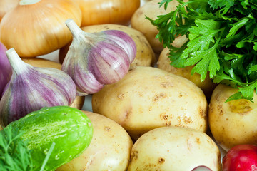 Fresh summer vegetables