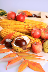 Herbstarrangement mit Mais, Zieräpfeln, Kastanien, Laub, Nüssen