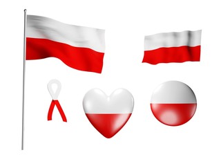 The Poland flag - set of icons and flags