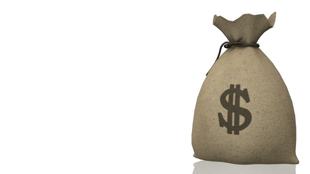 Money Bag, seamless loop