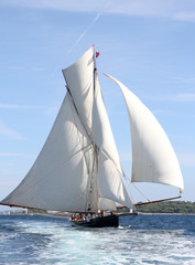 Fototapeta premium voile