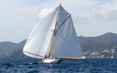 Fototapeta premium voile