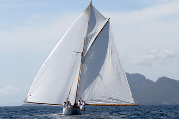Fototapeta premium voile