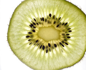Slice of kiwi on white background