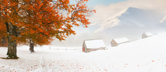 Colorful autumn landscape in the mountains. First snow in Novemb