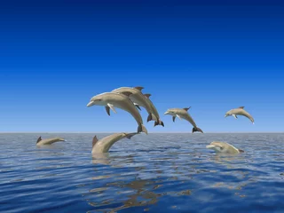 Türaufkleber Delfine © ArchMen