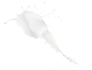 Milk splash on white background