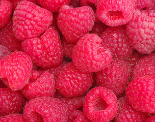 raspberry background
