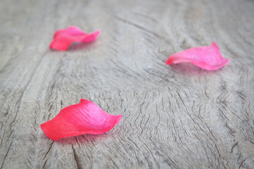 Petals of red roses on a wooden texture.
