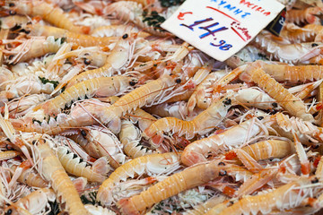 shrimps (Parapenaeus longirostris) , fish market