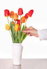 Bouquet from tulips in china vase isolated on white