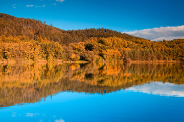 Symmetry reflection on the autumn lake