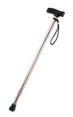 Walking stick isolated