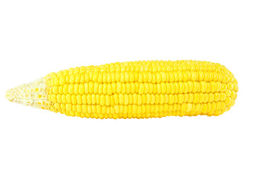 corn on white background