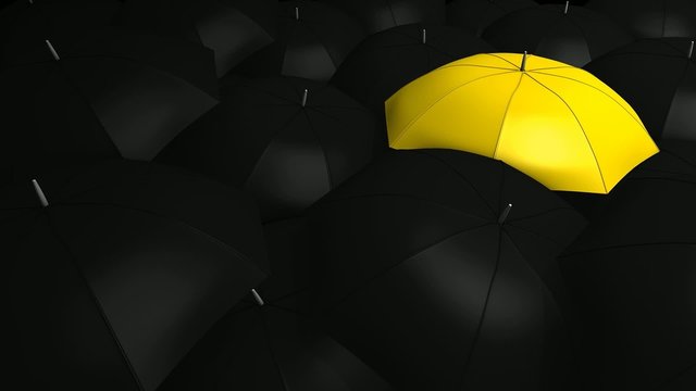 Conceptual animation, Crowd with umbrella with 1 unique color.