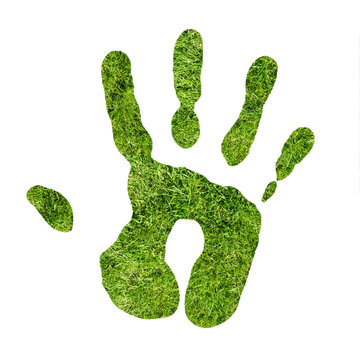 Green Hand