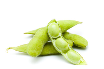 soybean