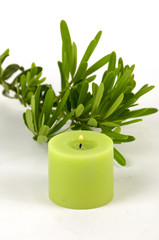 Green candle with pine