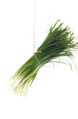 Tied bundle of spring onions