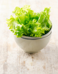 Fresh lettuce salad