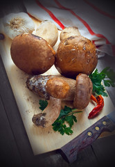 Funghi porcini - Porcini mushrooms